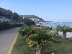 iphone_upload_pic-东澳岛