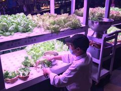 -佰园全日西餐厅-厦门佰翔软件园酒店