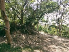 -燕晗山郊野公园