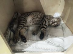 -么么咖啡(燕郊店)