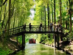 -同里国家湿地公园