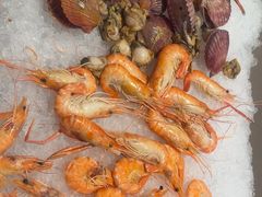 -济南喜来登酒店-盛宴自助西餐厅·综合自助