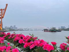 -龙美术馆西岸馆-停车场