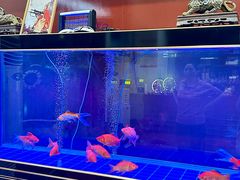 -川泽火锅·重庆老火锅(南河店)