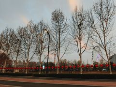-洋湖国家湿地公园