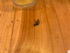 -洪大厨鸡煲(福田店)