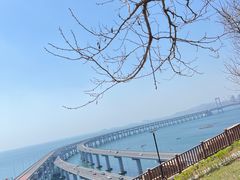 -星海湾跨海大桥