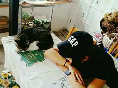 -海边的猫和咖啡馆