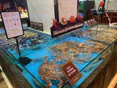 水产区-徐记海鲜(开福寺|伍家岭店)