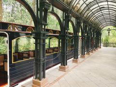 -合肥滨湖国家森林公园