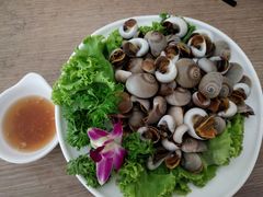原汁小海螺-翠林云庄大酒店