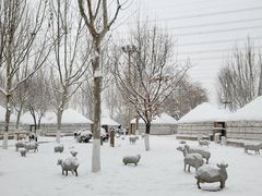 -九十九顶毡房(阜石路店)