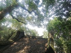 -乌山风景区