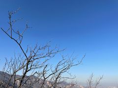 -北京鹫峰国家森林公园