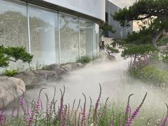 -罗红摄影艺术馆