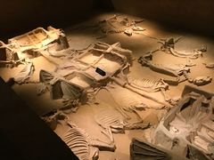 -洛阳周王城天子驾六博物馆