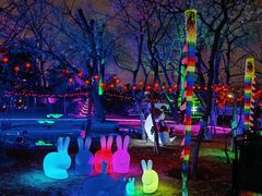 -枫花园汽车电影院(朝阳公园店)