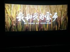 -武商摩尔影城(国广IMAX激光店)