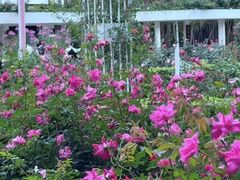 -人民公园(罗湖区)