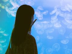 -左海海底世界