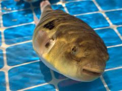 -永安鱼庄·镇江菜(东吴路店)