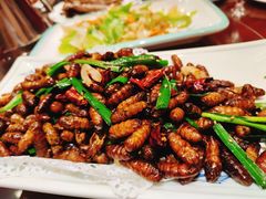 -火娃菜馆(新岭花园1期店)