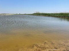 -南大港湿地风景区
