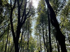 -苏州太湖国家湿地公园