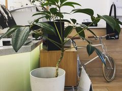 -Onirii Coffee(长乐路店)