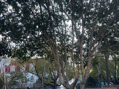 -宁波儿童公园(鄞州区)