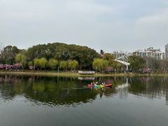 -新江湾城公园