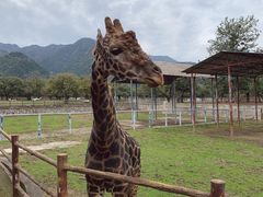 -西安秦岭野生动物园