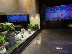 -九洲喜来登酒店湖月日餐厅