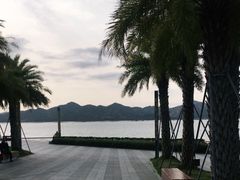 -深圳湾公园(南山区)