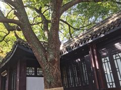 -包公祠
