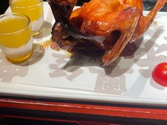 -大鸽饭(北京路店)