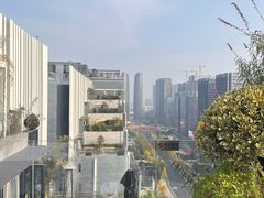 -合景·悠方(成都店)
