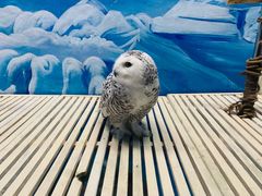 -成都浩海立方海洋公园