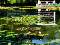 -国家植物园南园