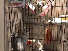 -津菜宋记老房子(鼓楼店)