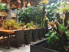 -森味薪火烧•烧鸟居酒屋•日本料理(望京店)