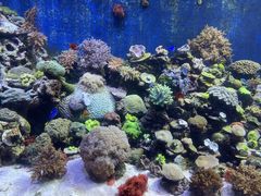 -珠海长隆海洋王国