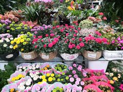 -秦美花卉(天朗·莱茵小城2期店)