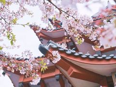 -鸡鸣寺