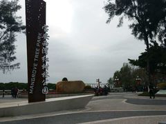 -宝安西湾红树林湿地公园