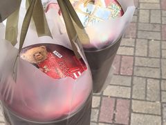 -珍妮曲奇聪明小熊(上环店)