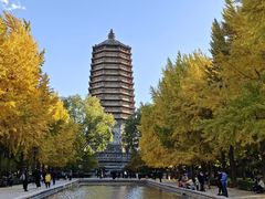 -玲珑塔公园