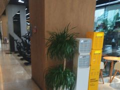 -威克健身游泳(万菱汇店)