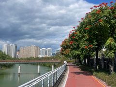 -金鸡岭桥头公园