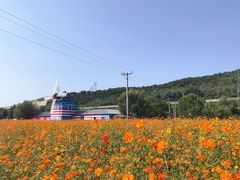 -大连铭湖国际观光牧场